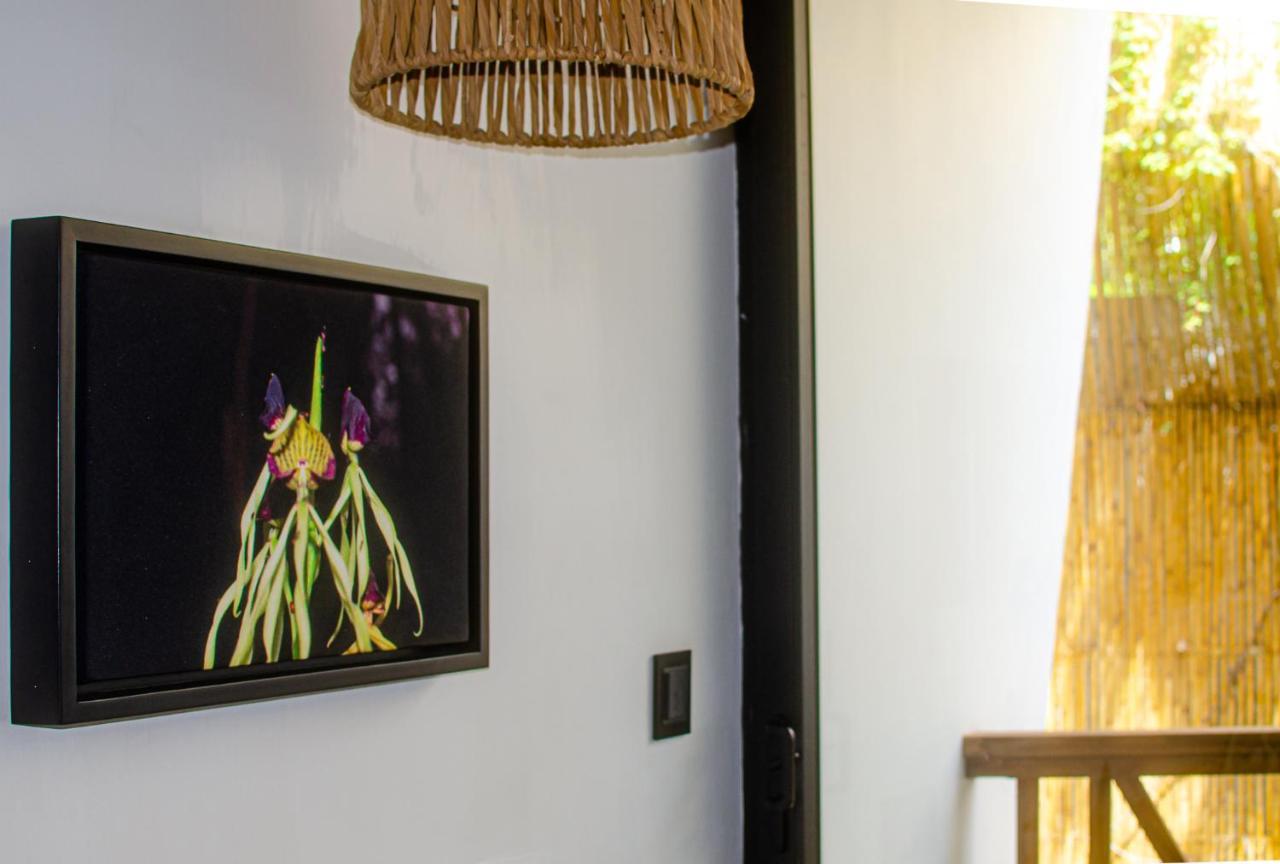 Ximena Hotel Boutique Sayulita Ngoại thất bức ảnh